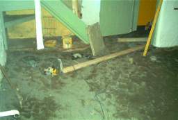03 - damery - IM004044.jpg
